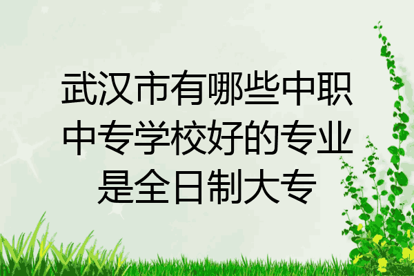 武汉市有哪些中职中专学校好的专业是全日制大专