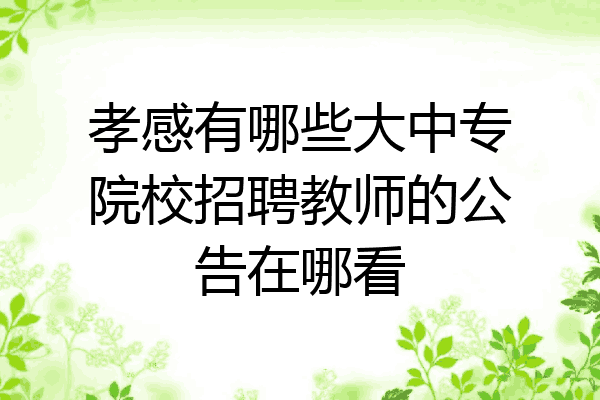 孝感有哪些大中专院校招聘教师的公告在哪看