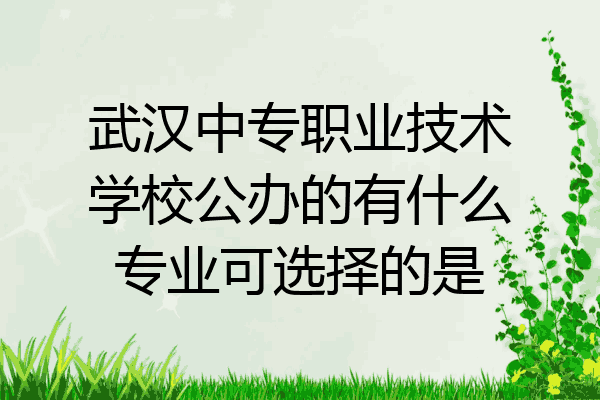 武汉中专职业技术学校公办的有什么专业可选择的是