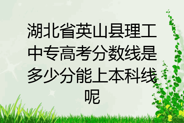 湖北省英山县理工中专高考分数线是多少分能上本科线呢