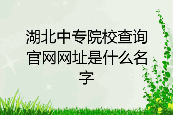 湖北中专院校查询官网网址是什么名字