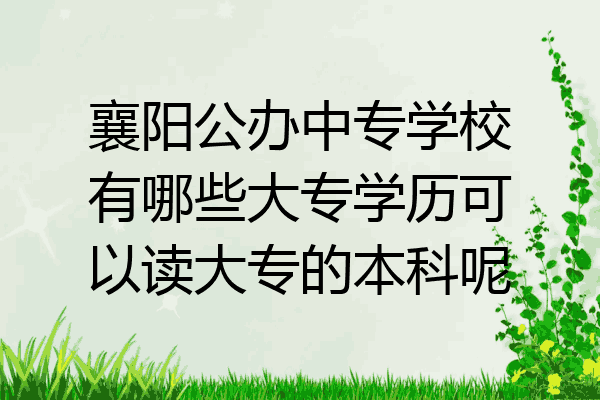 襄阳公办中专学校有哪些大专学历可以读大专的本科呢