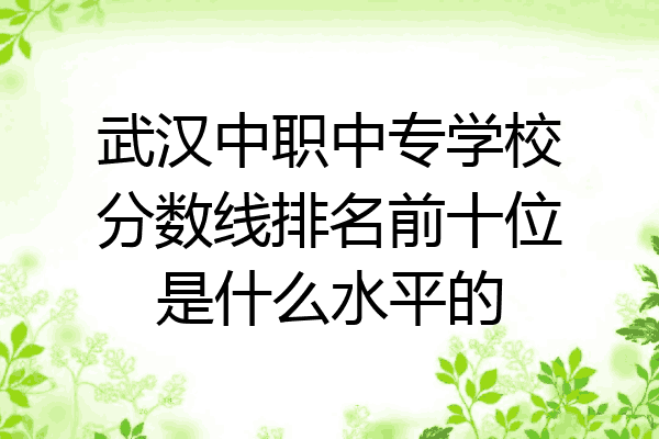 武汉中职中专学校分数线排名前十位是什么水平的
