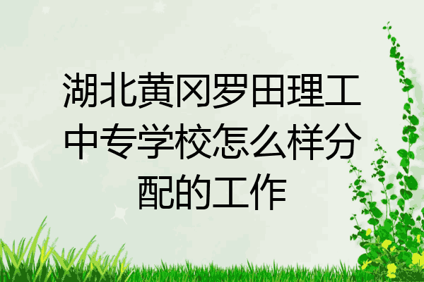 湖北黄冈罗田理工中专学校怎么样分配的工作