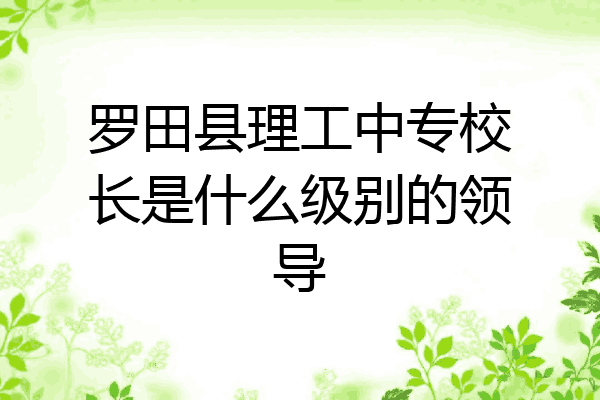 罗田县理工中专校长是什么级别的领导