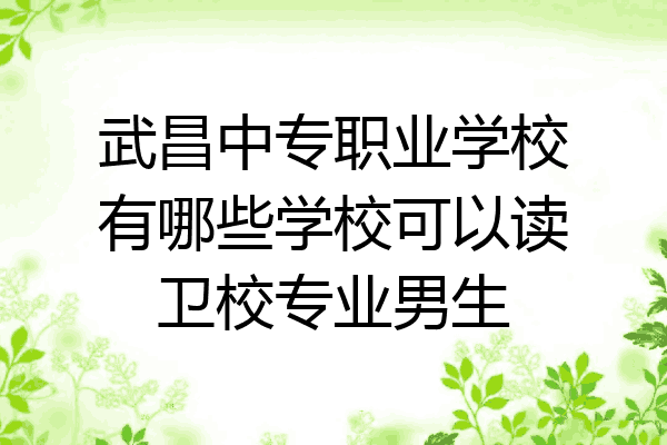 武昌中专职业学校有哪些学校可以读卫校专业男生