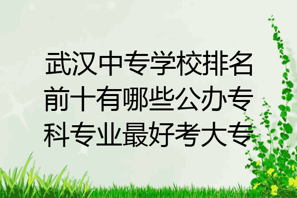 武汉中专学校排名前十有哪些公办专科专业最好考大专