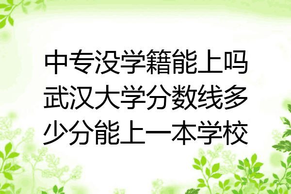 中专没学籍能上吗武汉大学分数线多少分能上一本学校