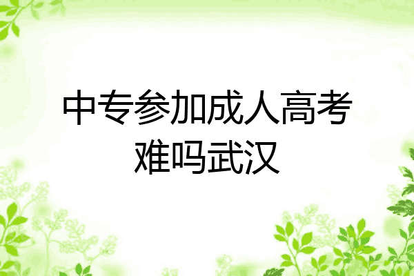 中专参加成人高考难吗武汉