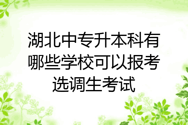 湖北中专升本科有哪些学校可以报考选调生考试