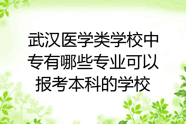 武汉医学类学校中专有哪些专业可以报考本科的学校