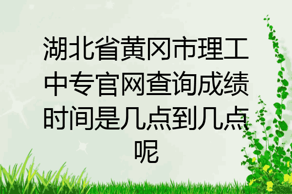 湖北省黄冈市理工中专官网查询成绩时间是几点到几点呢