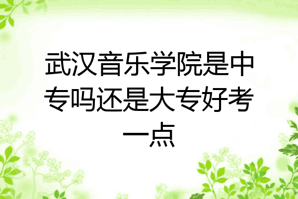 武汉音乐学院是中专吗还是大专好考一点