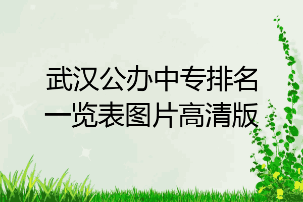 武汉公办中专排名一览表图片高清版