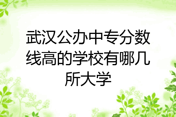 武汉公办中专分数线高的学校有哪几所大学