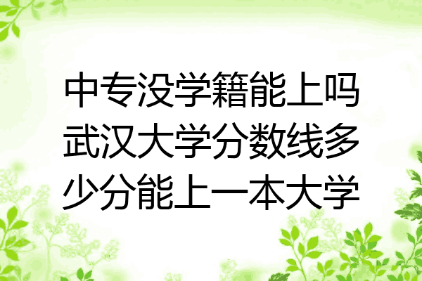 中专没学籍能上吗武汉大学分数线多少分能上一本大学