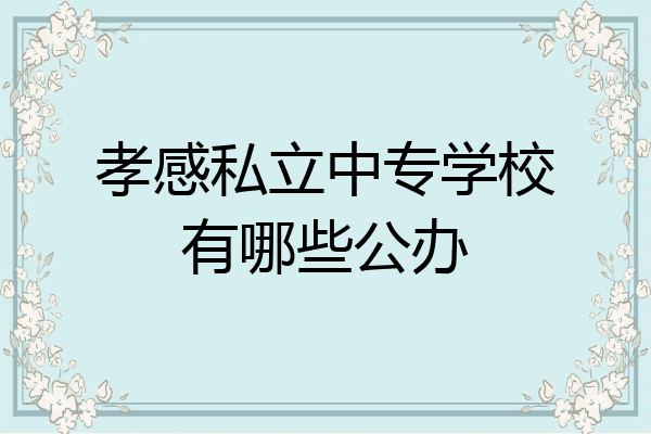 孝感私立中专学校有哪些公办