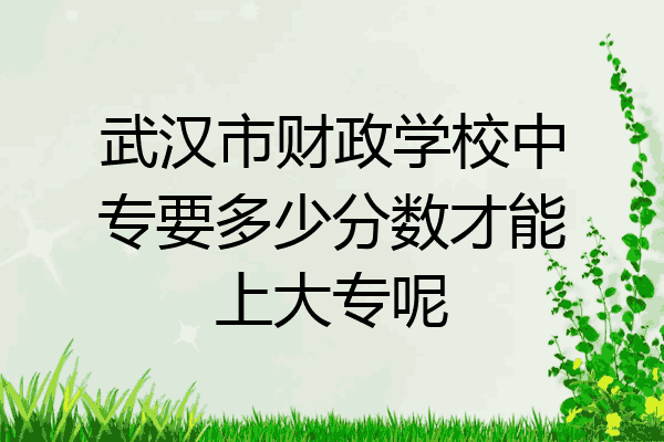 武汉市财政学校中专要多少分数才能上大专呢