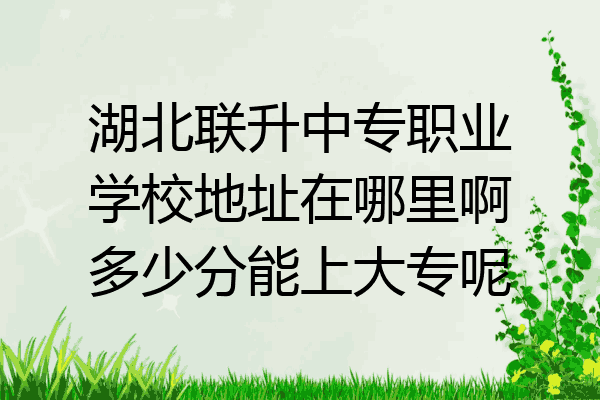 湖北联升中专职业学校地址在哪里啊多少分能上大专呢
