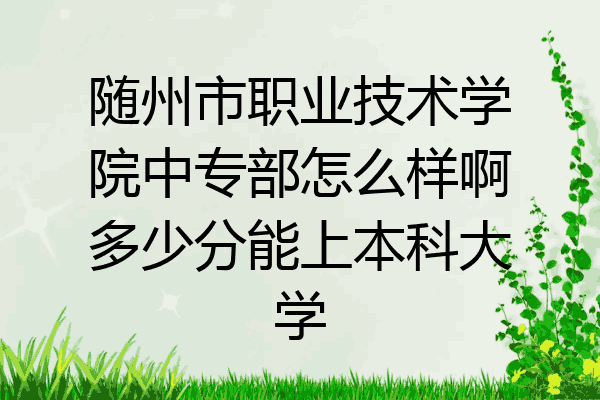 随州市职业技术学院中专部怎么样啊多少分能上本科大学