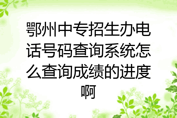 鄂州中专招生办电话号码查询系统怎么查询成绩的进度啊