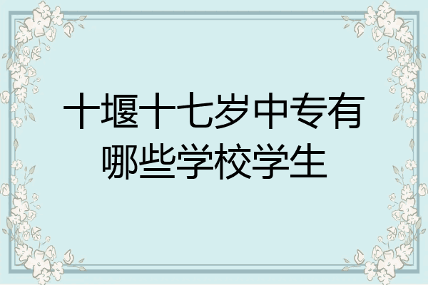 十堰十七岁中专有哪些学校学生