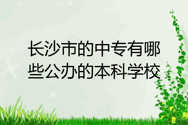 长沙市的中专有哪些公办的本科学校