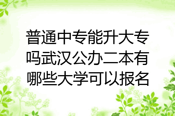 普通中专能升大专吗武汉公办二本有哪些大学可以报名