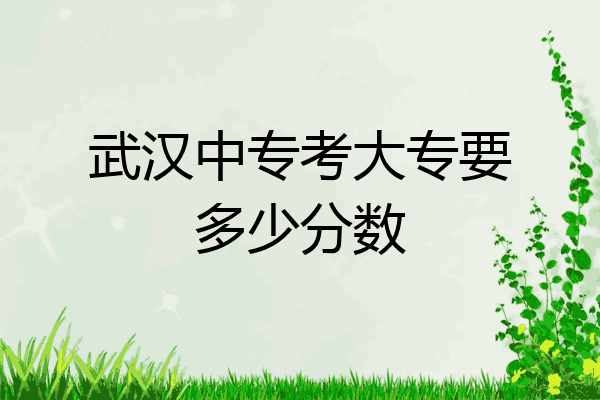武汉中专考大专要多少分数