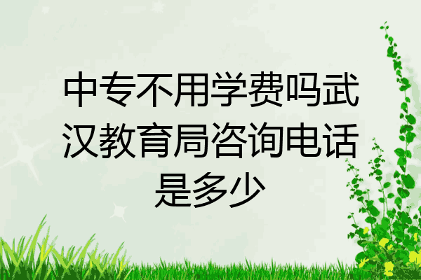 中专不用学费吗武汉教育局咨询电话是多少