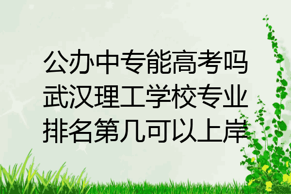 公办中专能高考吗武汉理工学校专业排名第几可以上岸