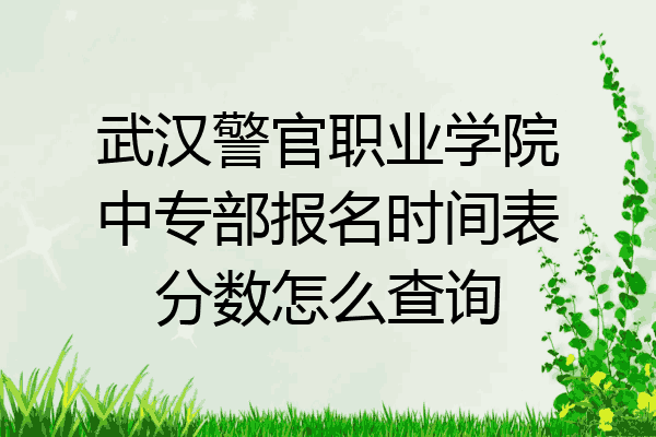 武汉警官职业学院中专部报名时间表分数怎么查询