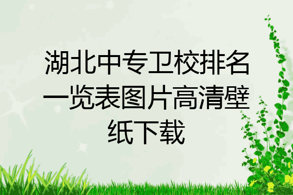湖北中专卫校排名一览表图片高清壁纸下载