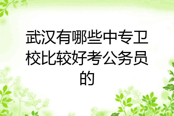 武汉有哪些中专卫校比较好考公务员的