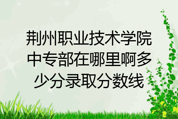 荆州职业技术学院中专部在哪里啊多少分录取分数线