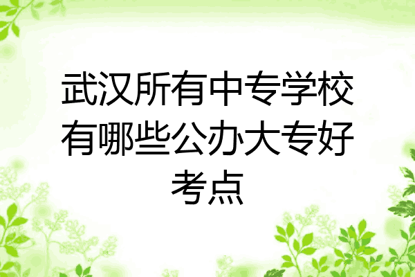 武汉所有中专学校有哪些公办大专好考点