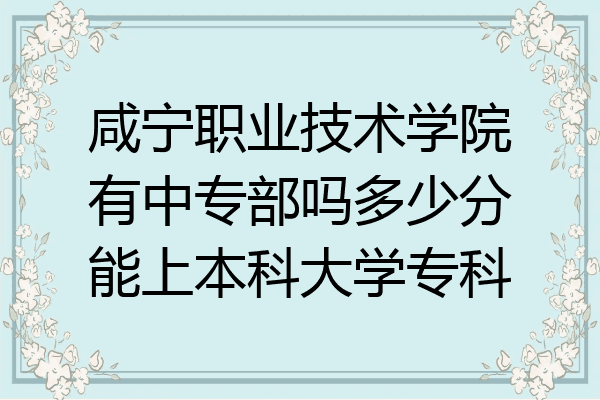 咸宁职业技术学院有中专部吗多少分能上本科大学专科