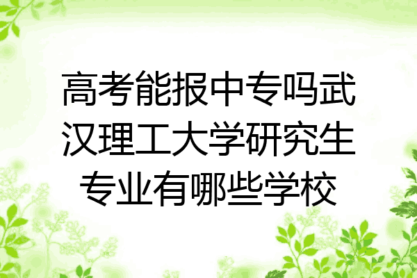 高考能报中专吗武汉理工大学研究生专业有哪些学校
