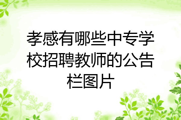 孝感有哪些中专学校招聘教师的公告栏图片