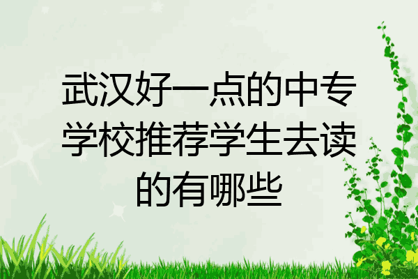武汉好一点的中专学校推荐学生去读的有哪些