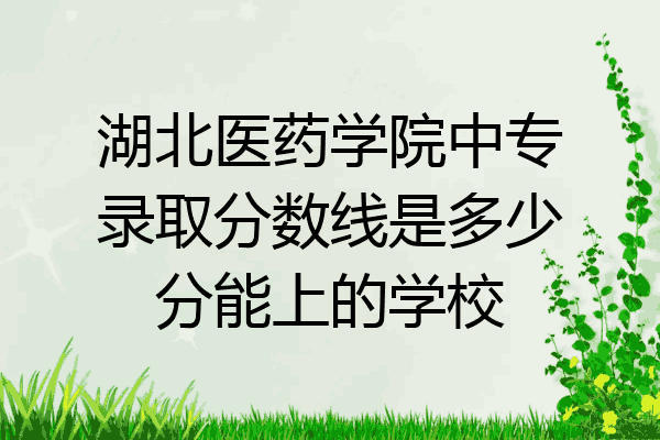 湖北医药学院中专录取分数线是多少分能上的学校