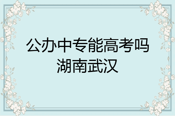 公办中专能高考吗湖南武汉