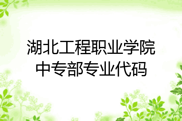 湖北工程职业学院中专部专业代码