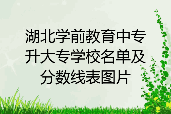 湖北学前教育中专升大专学校名单及分数线表图片