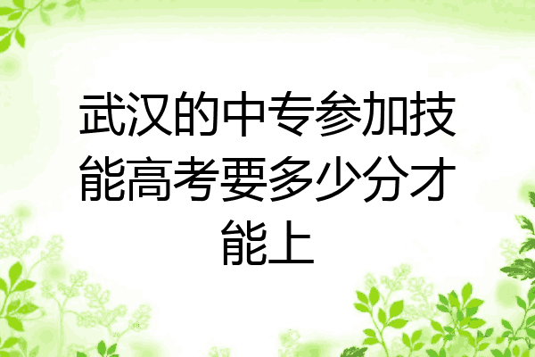 武汉的中专参加技能高考要多少分才能上