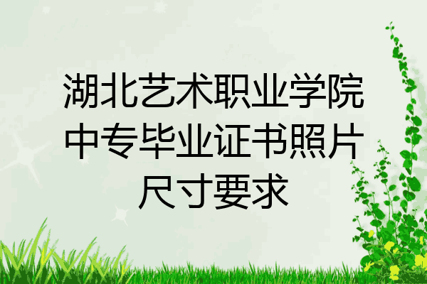 湖北艺术职业学院中专毕业证书照片尺寸要求