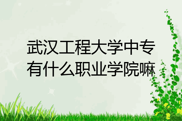 武汉工程大学中专有什么职业学院嘛