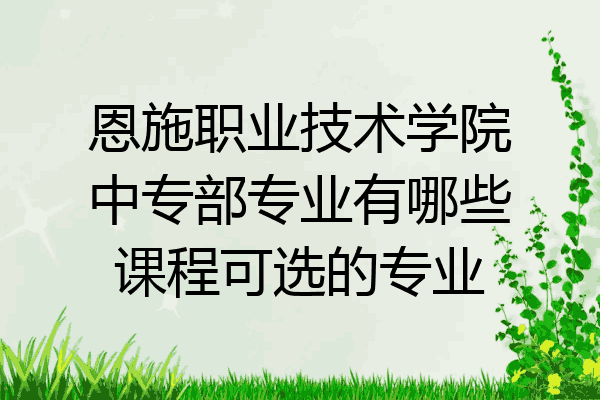 恩施职业技术学院中专部专业有哪些课程可选的专业