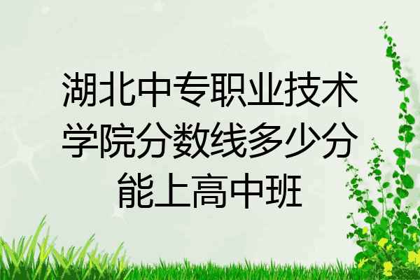 湖北中专职业技术学院分数线多少分能上高中班
