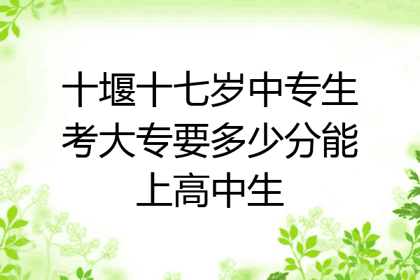 十堰十七岁中专生考大专要多少分能上高中生